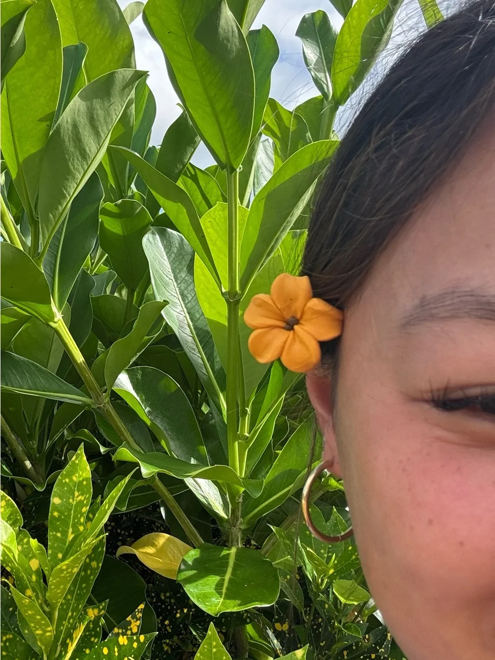 Handmade Clay Puakenikeni Hair Picks